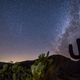 Delta Aquarids (Image: Jeff Morris)